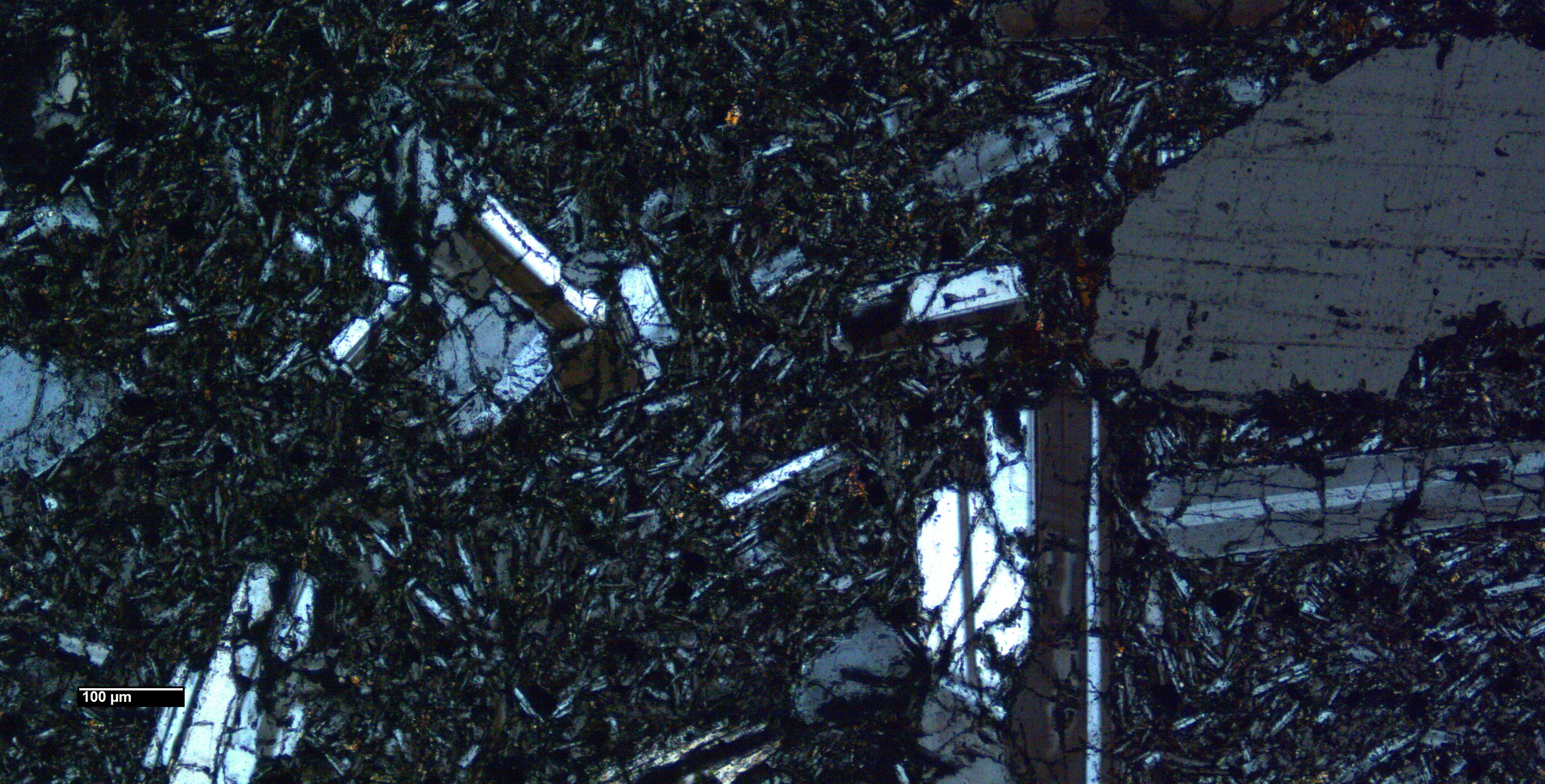 Muestra 3 LPX 3